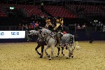 Quadrille - 00688